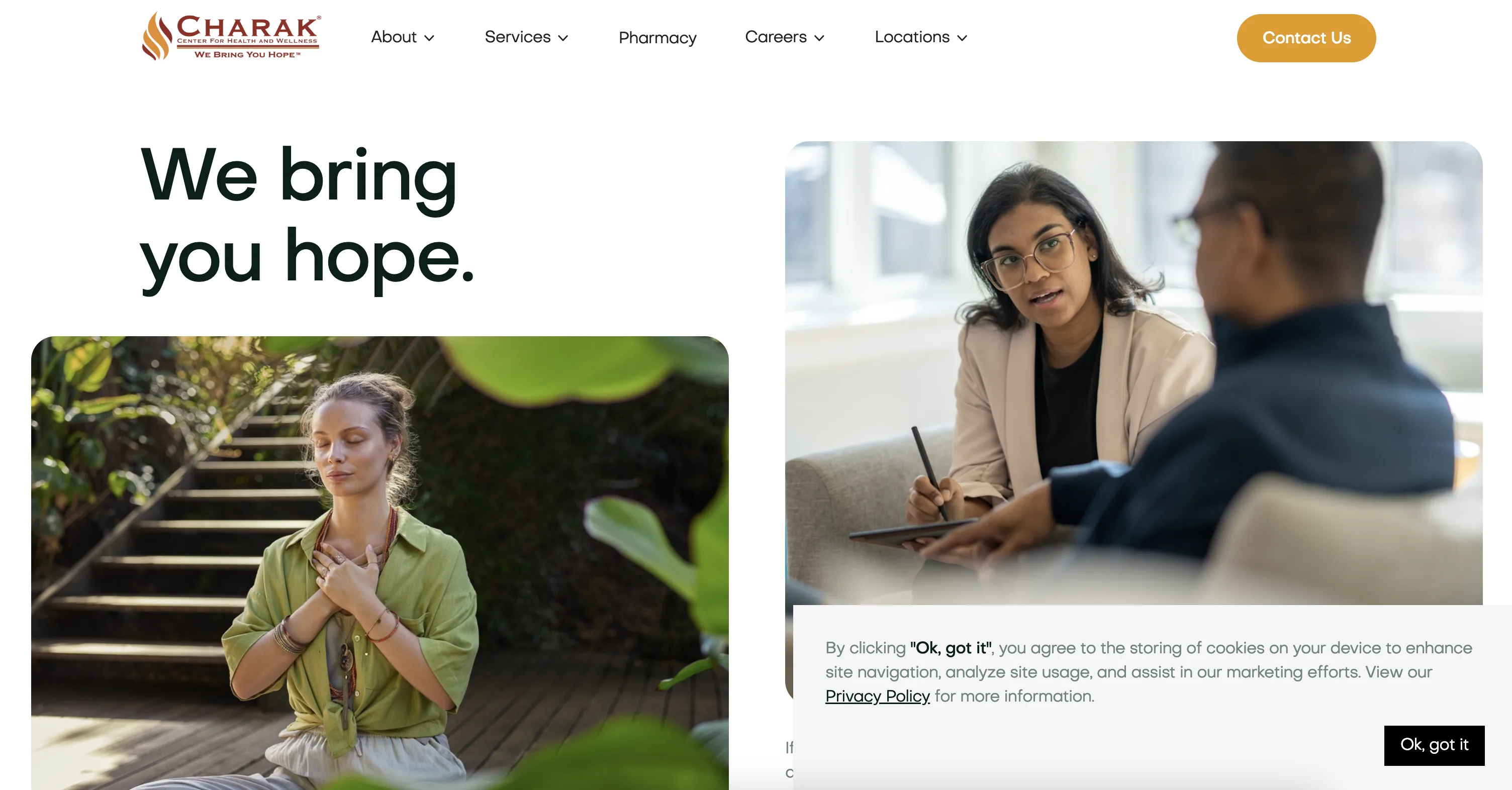 Charak — Desktop Home